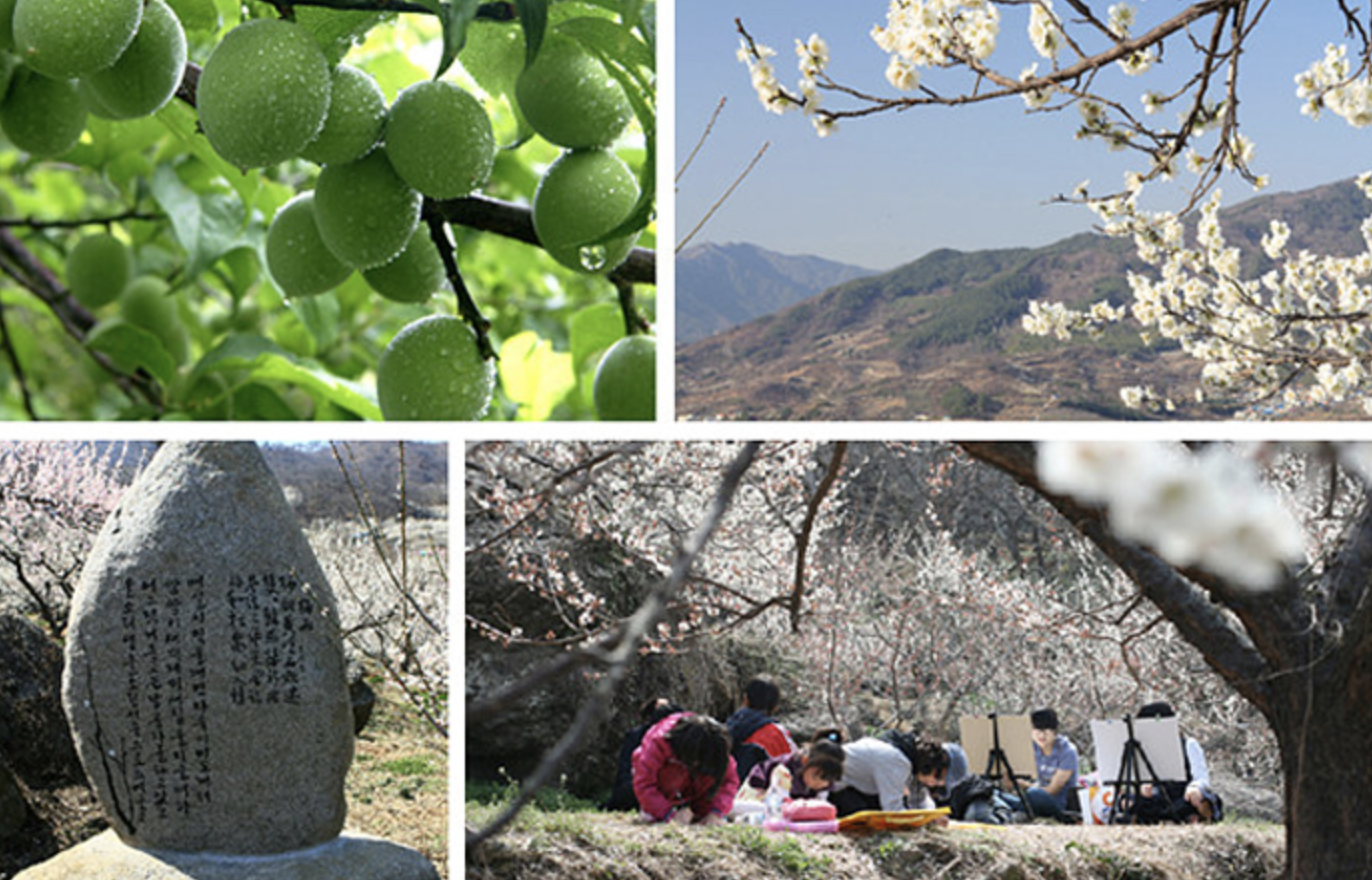 춘절 광양4일 일정