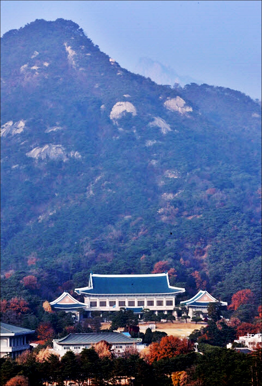 청와대