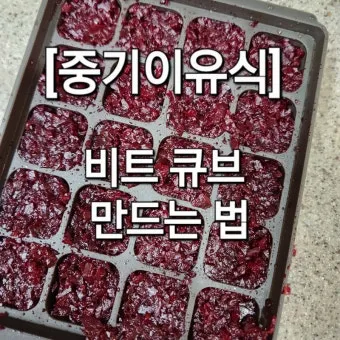 이유식 만드는 법_11