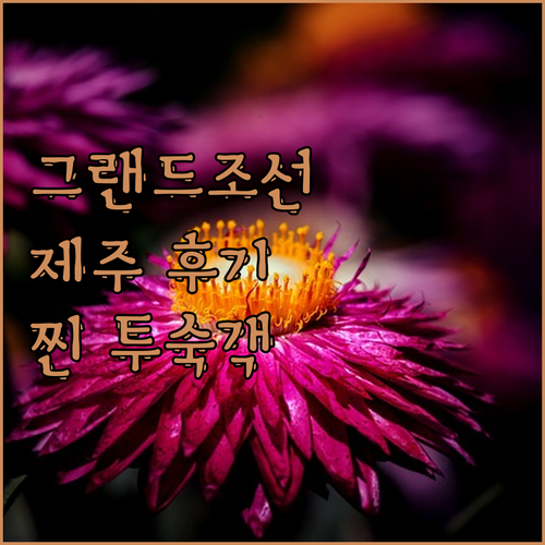 그랜드 조선 제주, 왜 다들 극찬할까