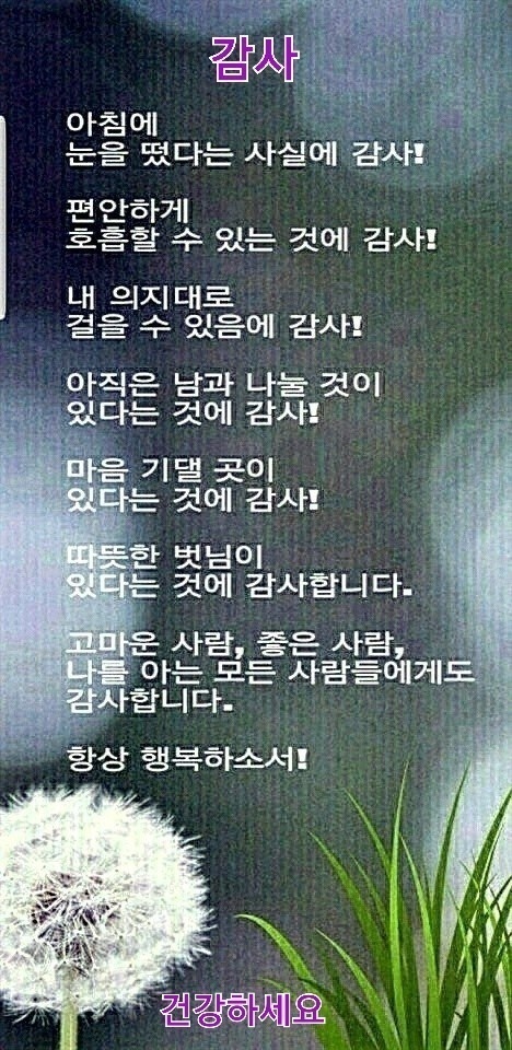 뒤에있다 이미지