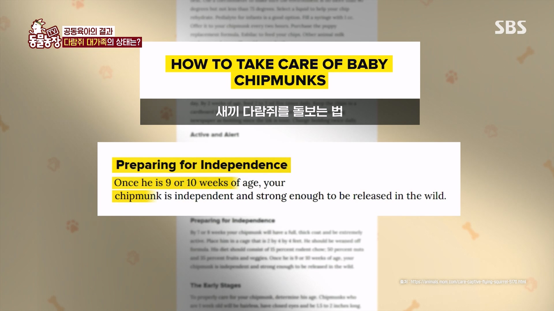 TV 동물농장.E1118.230430p.H264-F1RST.mp4_20230430_172355.019.jpg
