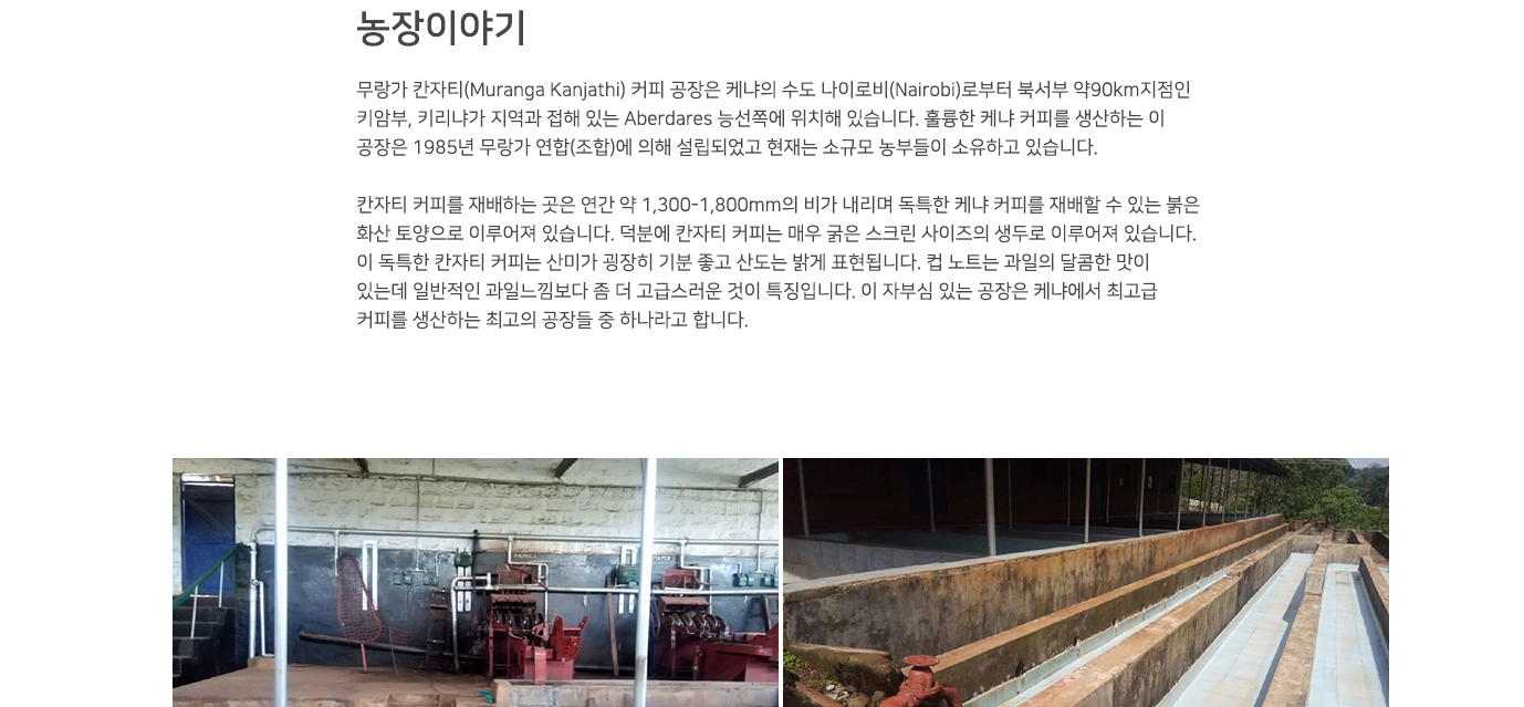 디코드커피 이미지