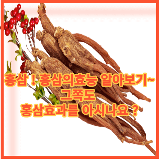  홍삼의효능 홍삼이 주는 건강의 이점 ! 홍삼 제조 과정 알아보기 !