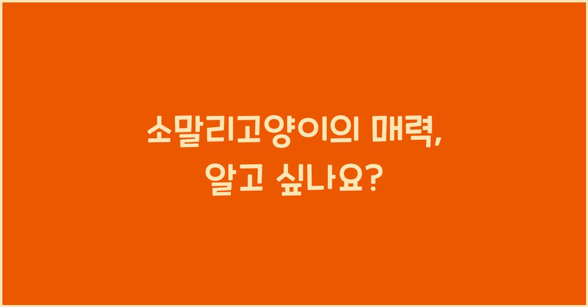 소말리고양이