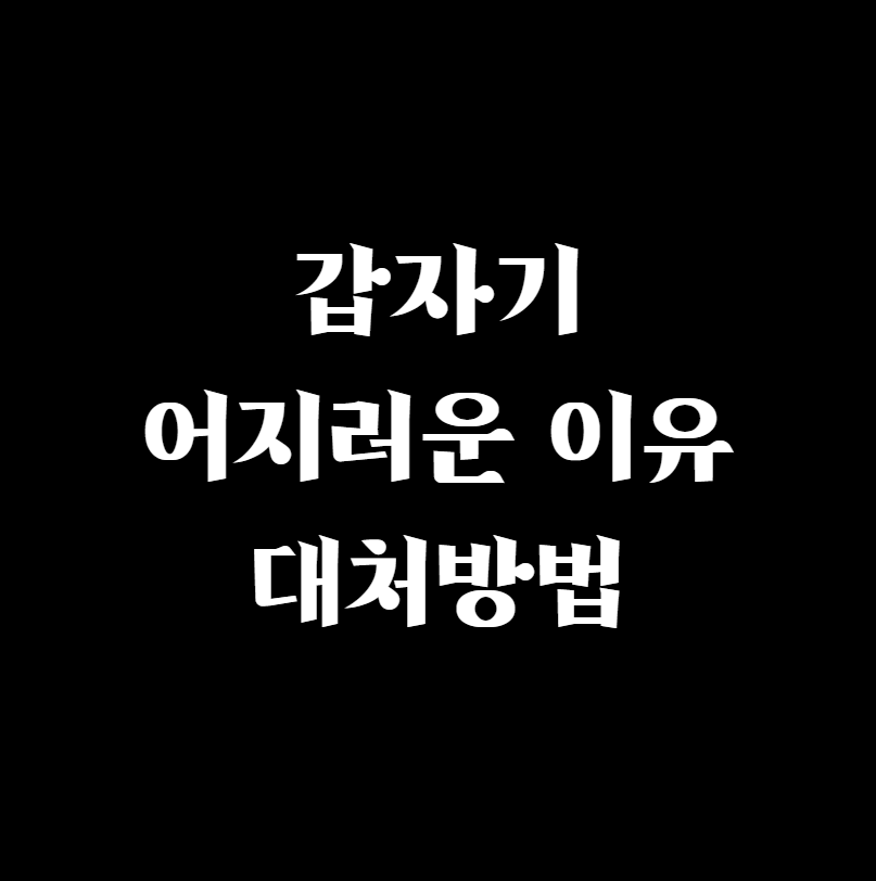  갑자기 어지러운 이유 와 대처방법