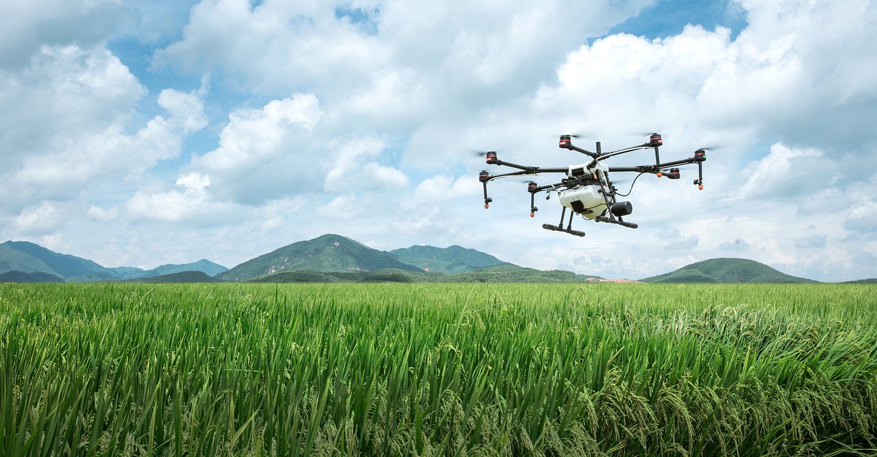 drone