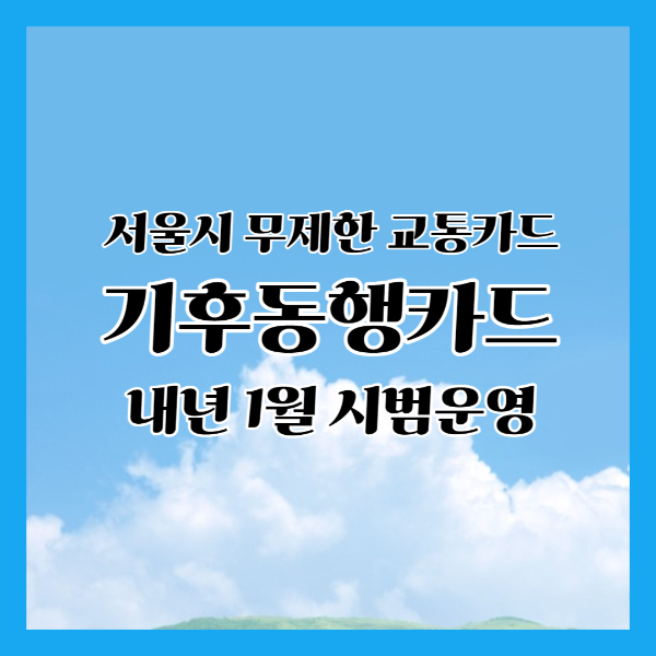 서울시 무제한 교통카드 기후동행카드