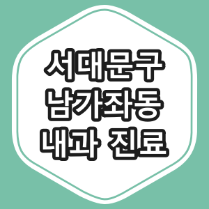 서울시 서대문구 남가좌동 내과 전문의 진료 동네 병원