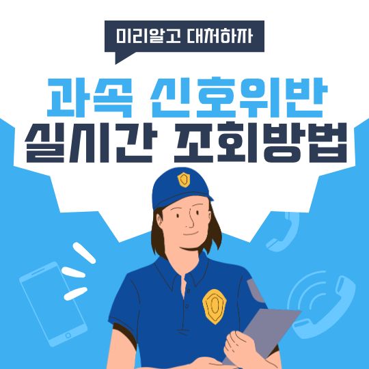 과속_신호위반_실시간조회