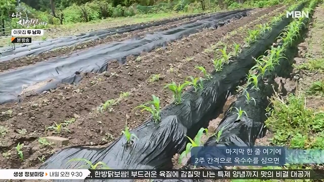 나는 자연인이다.E558.230615p-NEXT.mp4_20230615_200822.708.jpg