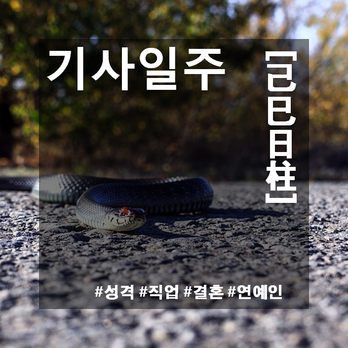  기사일주(己巳日柱)
