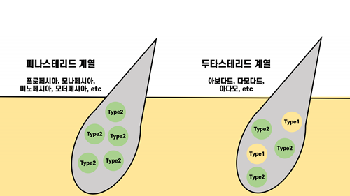 탈모1유형과2유형