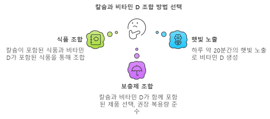 칼슘과 비티만D 섭취방법
