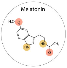 멜라토닌-효능-부작용-복용법