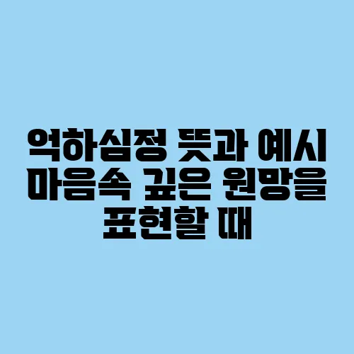 억하심정 뜻과 예시 마음속 깊은 원망을 표현할 때