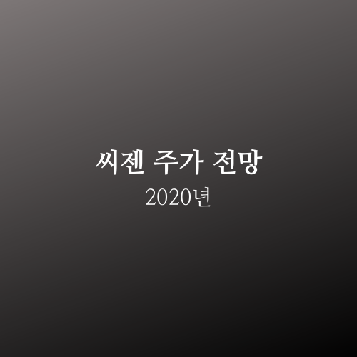  씨젠 주가 2020년 전망