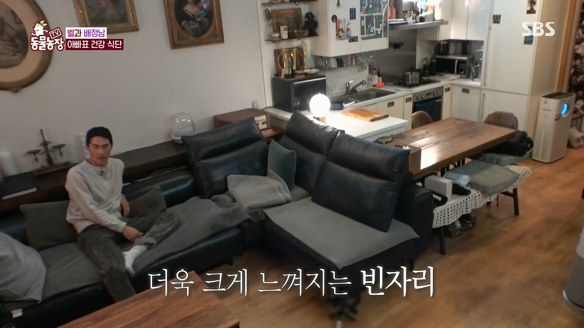 TV 동물농장.E1096.221120p.H264-F1RST.mp4_20221120_193734.197.jpg