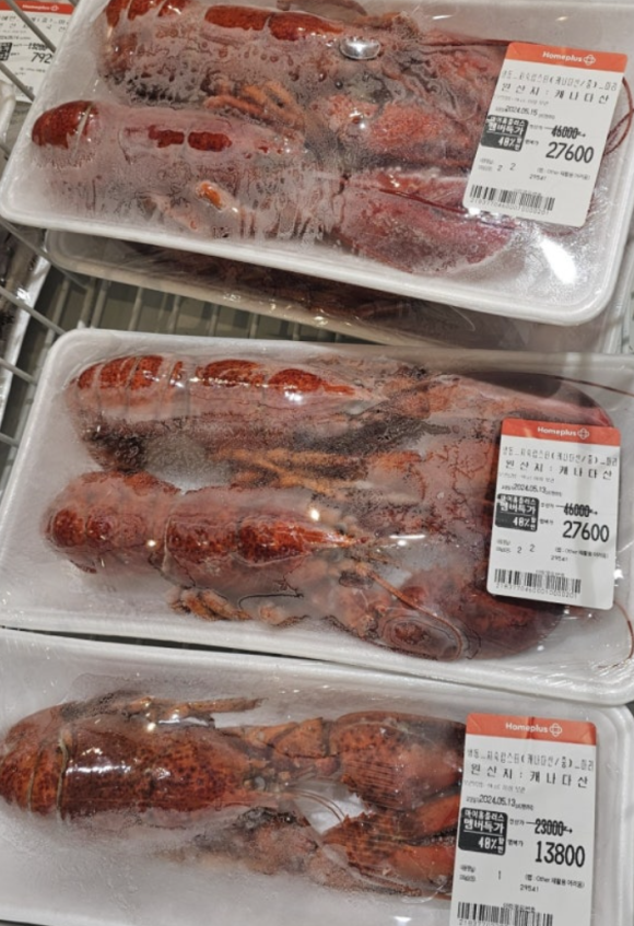  랍스터 먹어보자 랍스터