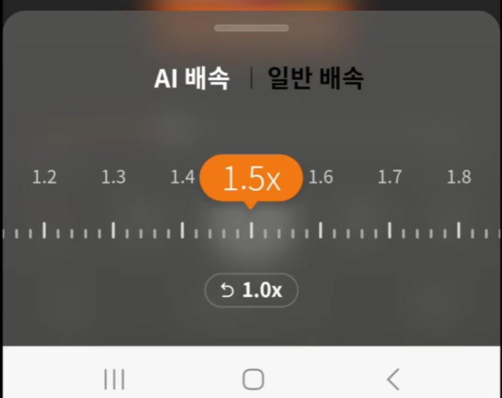 윌라 재생 배속 기능