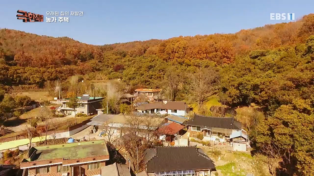 TV - 교육의 중심 EBS오래된 집의 재발견 농가와 도심 주택.mp4_20221120_152004.099.jpg