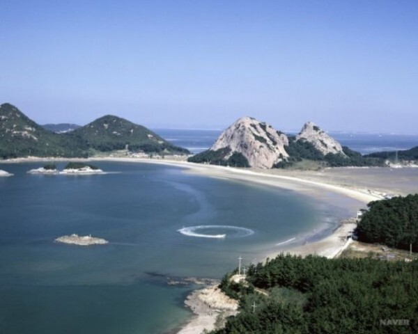121호 이미지
