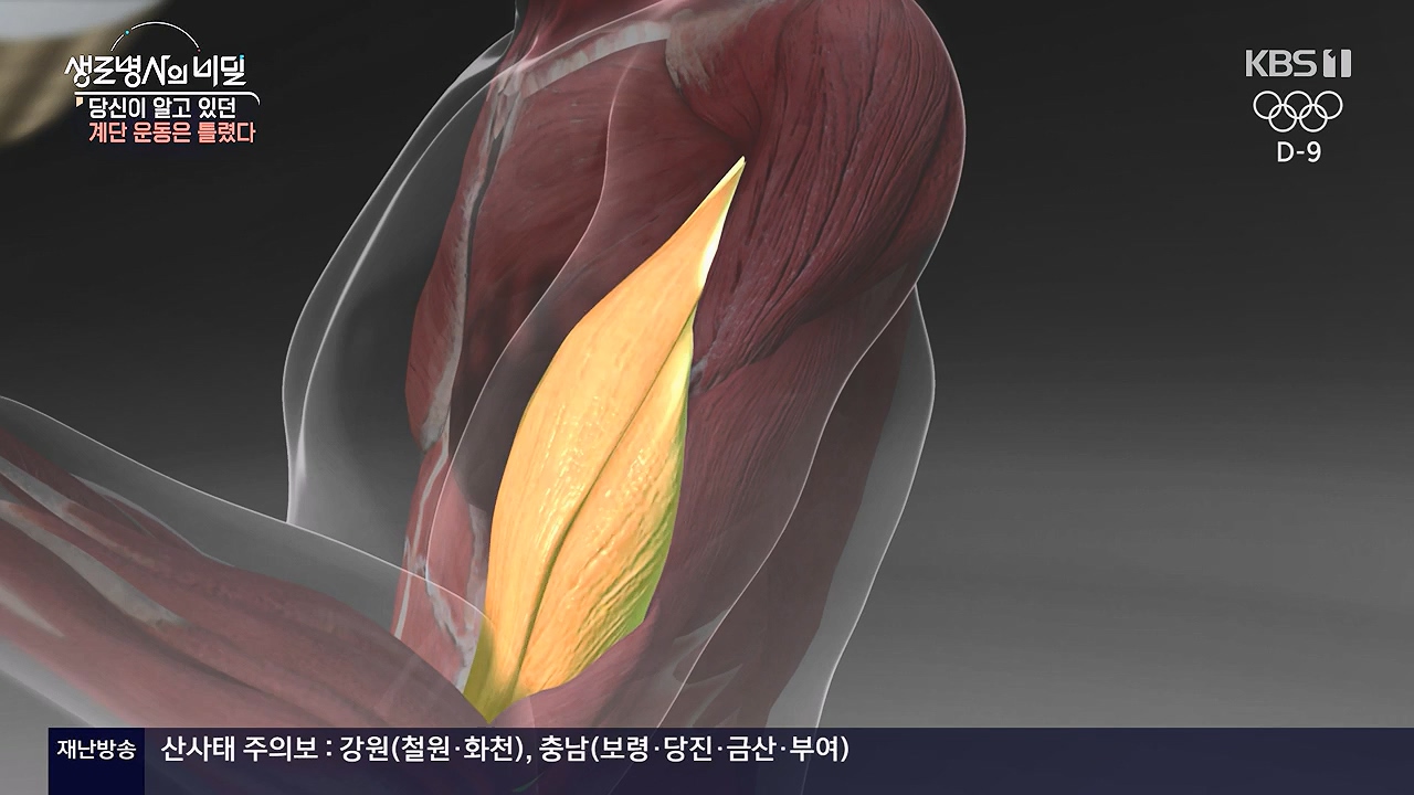 생로병사의 비밀.E920.240718p-NEXT.mp4_20240718_201554.815.jpg