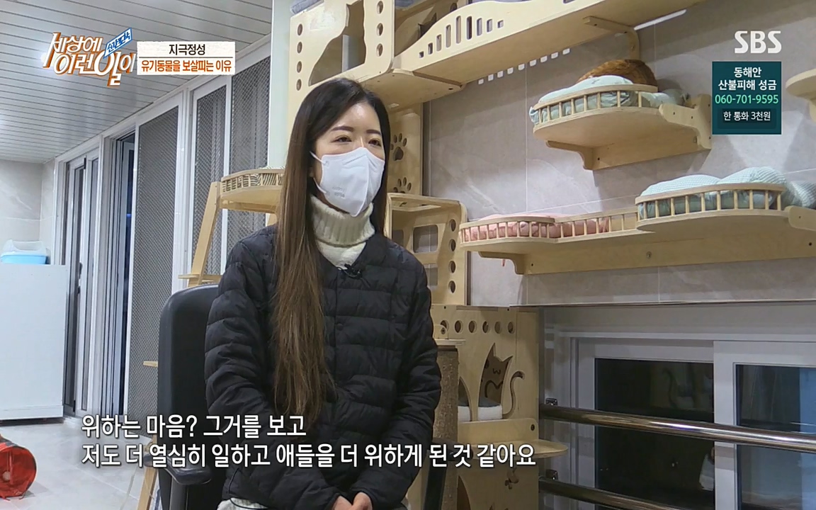 순간포착 세상에 이런일이.E1171.220316p-NEXT.mp4_20220316_185029.292.jpg