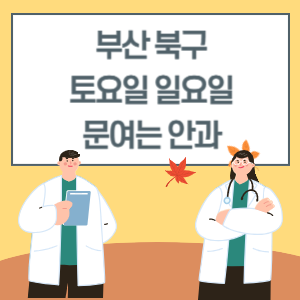 부산 북구 토요일 일요일 안과 진료 병원 리스트