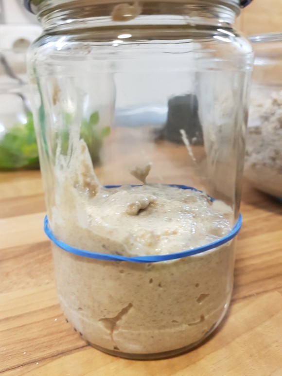 호밀빵 영어로 건강다이어트 : 르방을 이용한 호밀빵 31