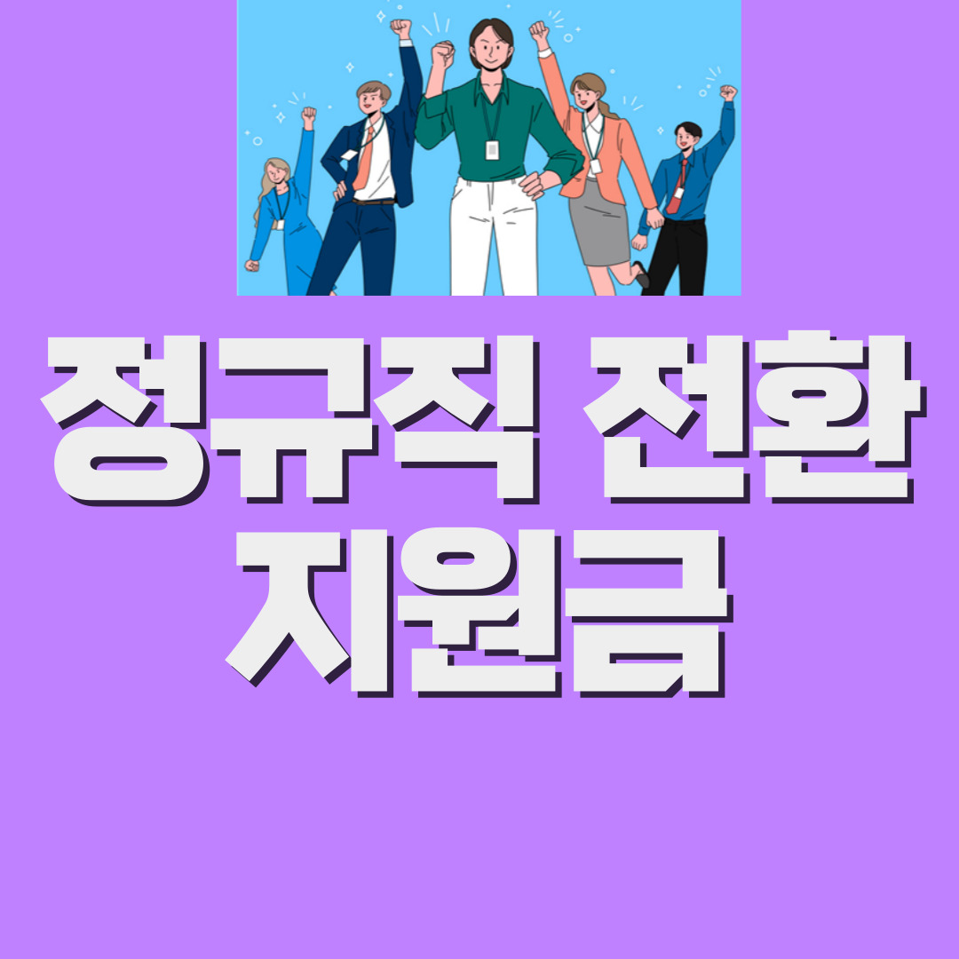  정규직 전환 지원금 대상, 내용, 신청 방법
