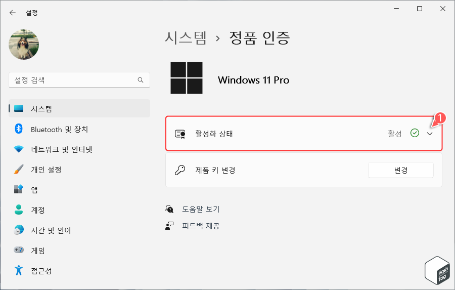 활성화 상태 확인