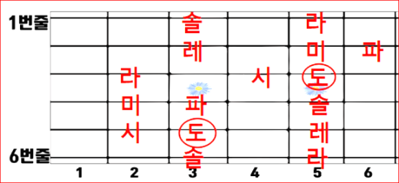 솔라 모양 스케일