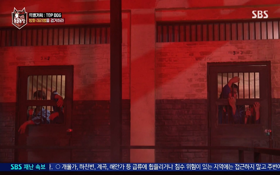 TV 동물농장.E1085.220905p-NEXT.mp4_20220904_173600.618.jpg