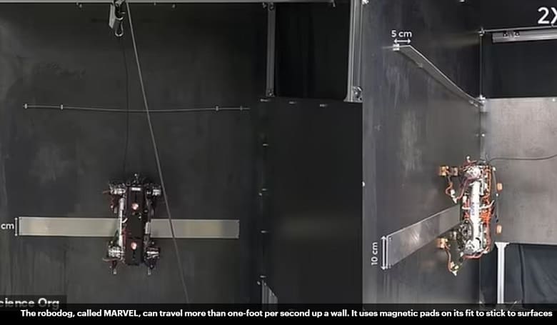 카이스트가 개발한 섬뜩한 마블 사족보행 로봇 VIDEO: Researchers create robot with magnetic 'paws' to climb up walls
