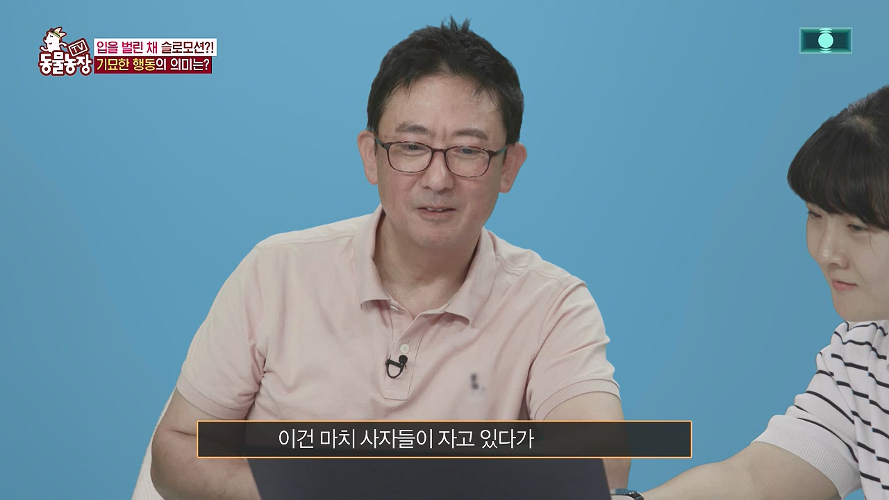 TV 동물농장.E1187.240902p-NEXT.mp4_20240901_155501.321.jpg