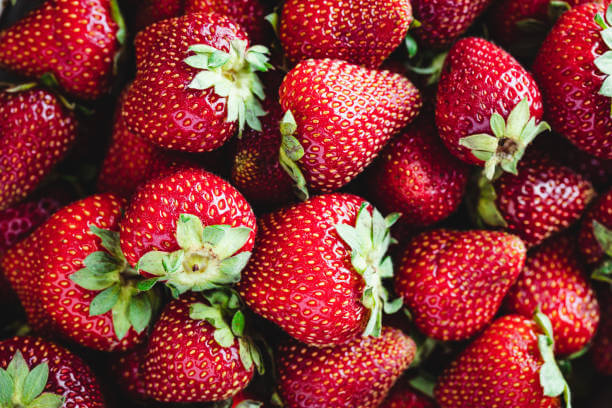 딸기 씻는 법과 보관법 및 고르는 법