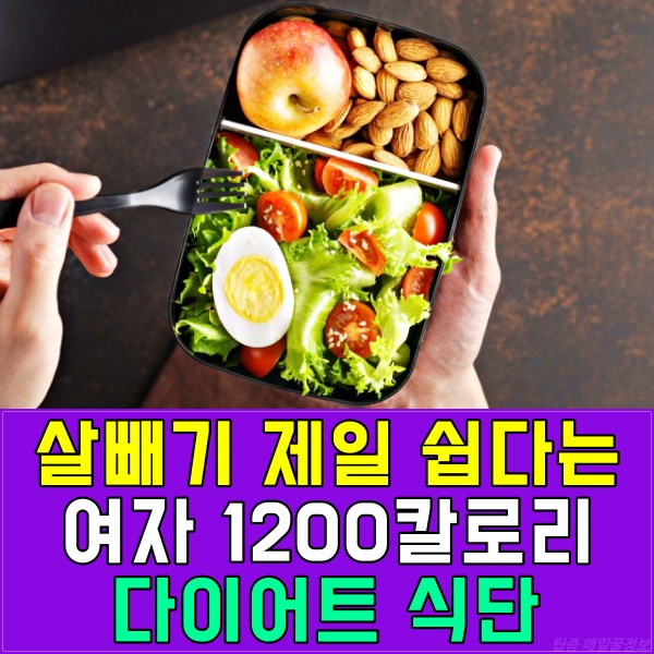 여자 1200칼로리 다이어트 식단 추천, 살빼기 쉬운 방법