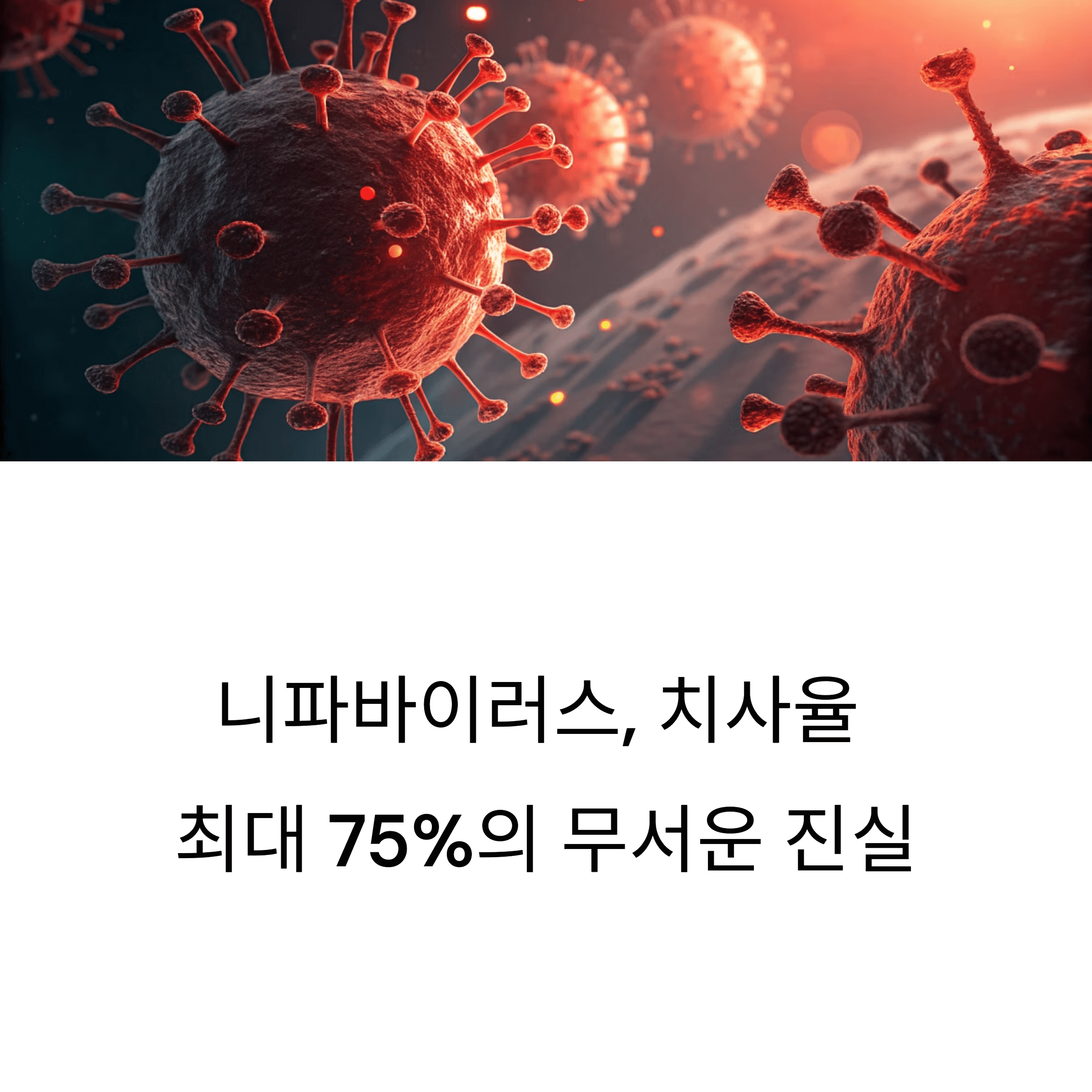 치사율과 생존률 통계 정리