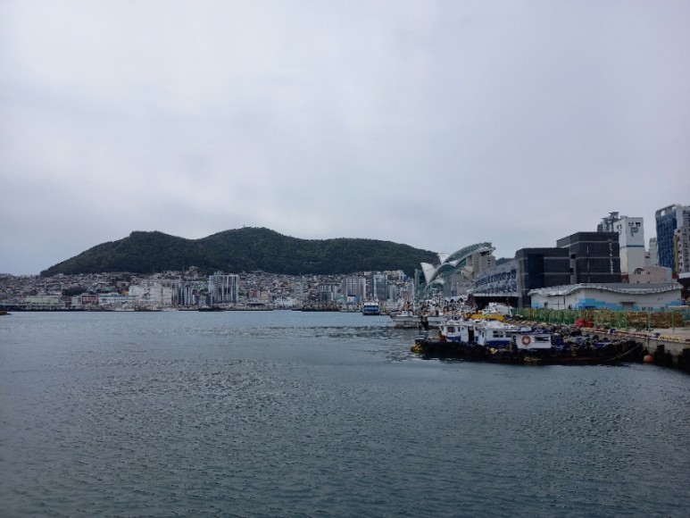 주야대게 이미지