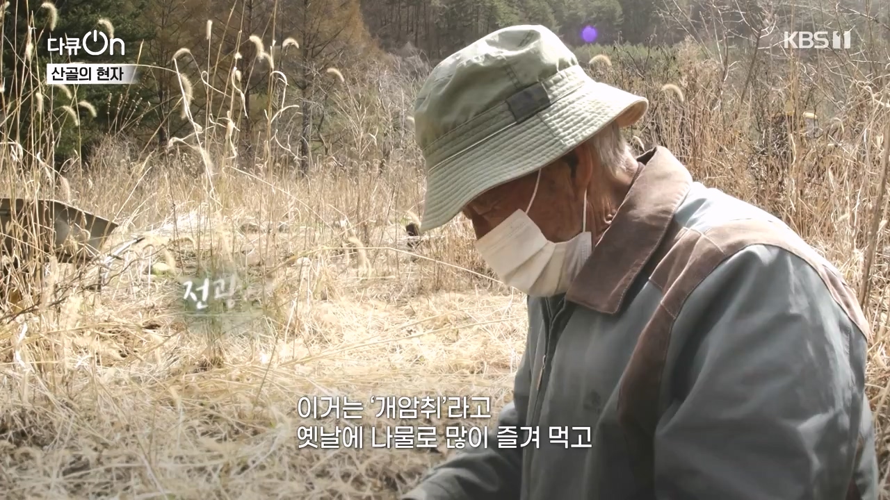 다큐 온.E245.240414p-NEXT.mp4_20240414_142427.079.jpg