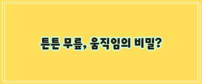 무릎 강화에 좋은 운동