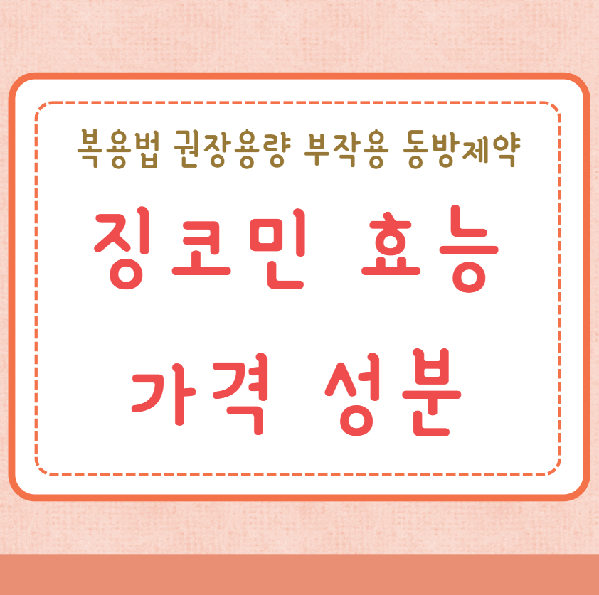징코민 효능 가격 성분