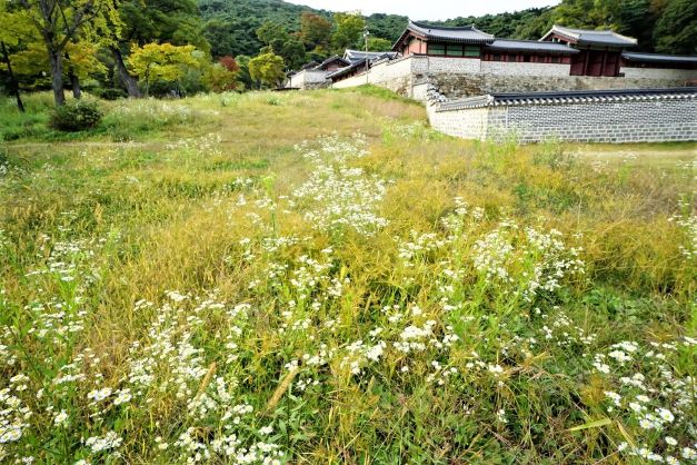 행궁 전경&#44; 앞쪽의 풀밭엔 하얀 들꽃