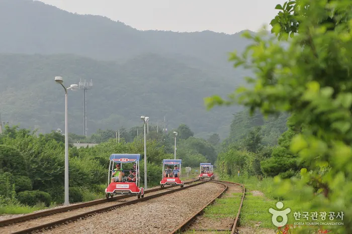 원주 레일파크 전경 이미지