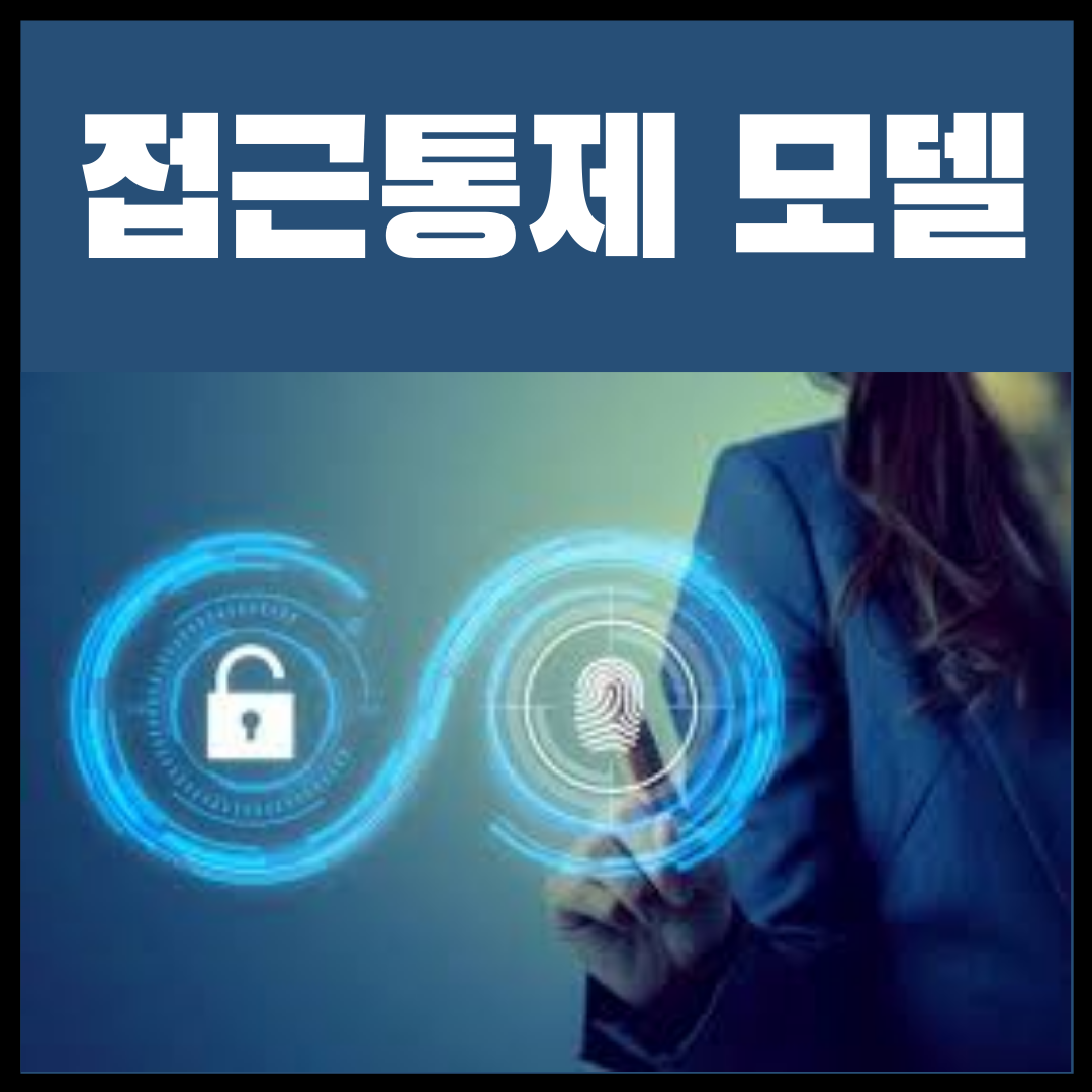  강제적 접근통제 모델(MAC)의 종류 벨라파둘라, 비바