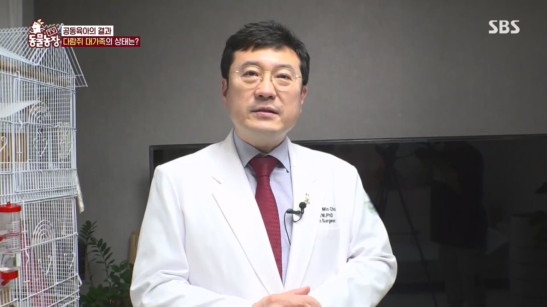 TV 동물농장.E1118.230430p.H264-F1RST.mp4_20230430_172354.439.jpg