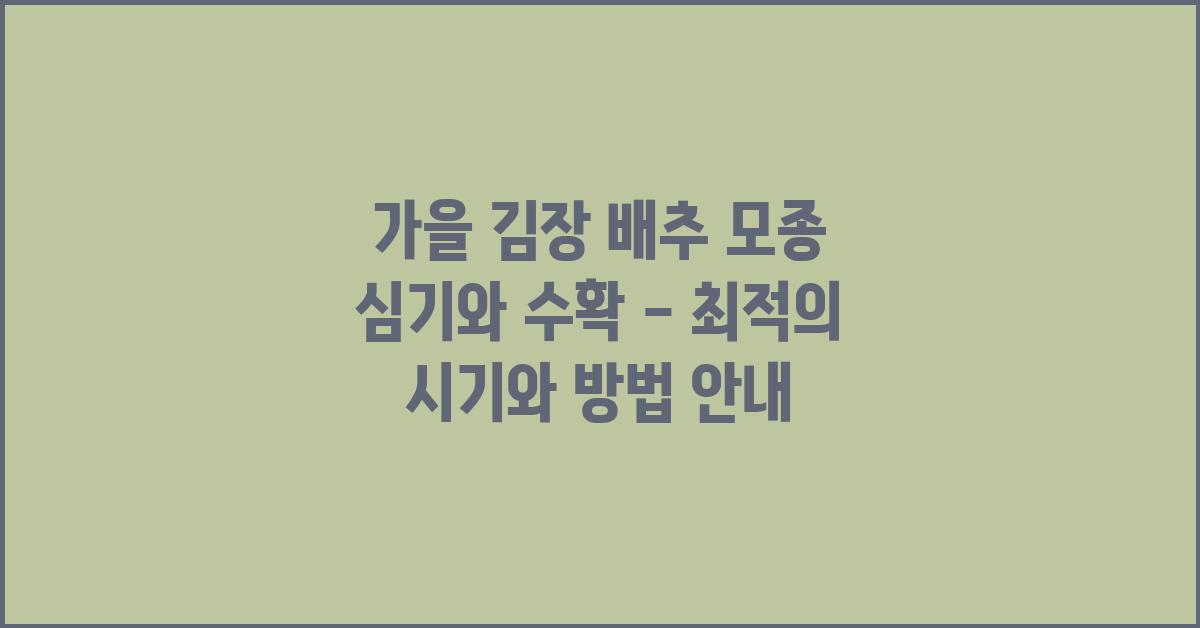 가을 김장 배추 모종 심기와 수확