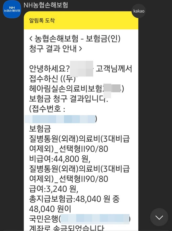 NH-농협손해보험-입금-알림카톡-사진