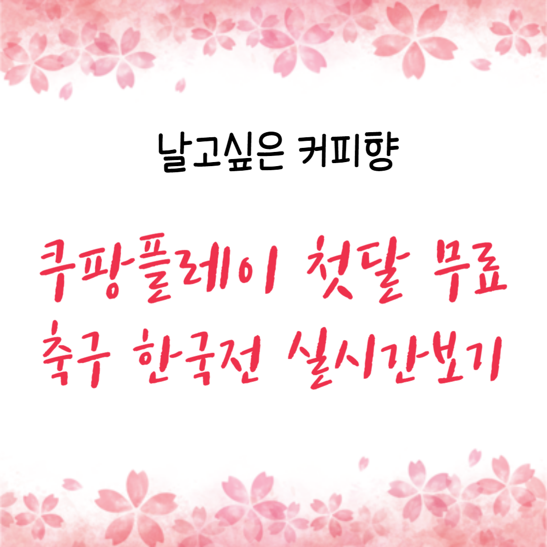  쿠팡플레이 첫달 무료 꿀팁 ! 2024 아시안컵 대한민국 대표팀 실시간 중계 보기 (2월3일 업데이트)